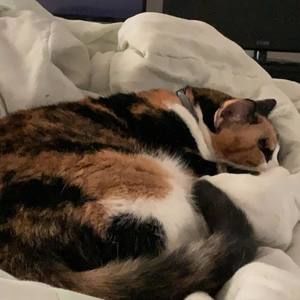 Meet your Posher, Savanah